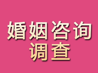 内蒙古婚姻咨询调查